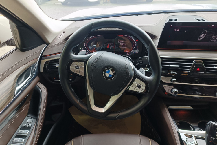 BMW 5 Series 2020 car image #11