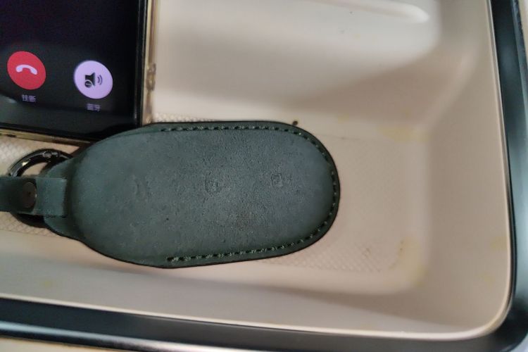 Li L9 2022 imagen de coche #11