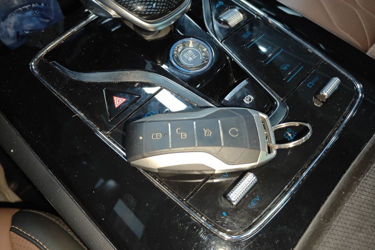 BYD Tang New Energy 2022 car image #11