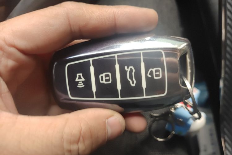 Haval H6S 2022 immagine di auto #11