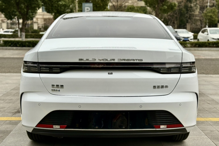BYD Destroyer 05 2024 car image #11
