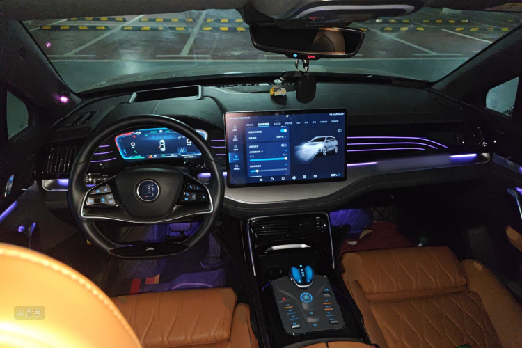 BYD Tang New Energy 2022 car image #11