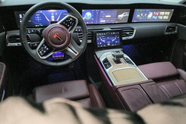 HongQi E-HS9 2023 imagem de carro #11