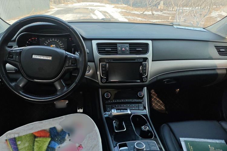 Haval H8 2017 car image #11