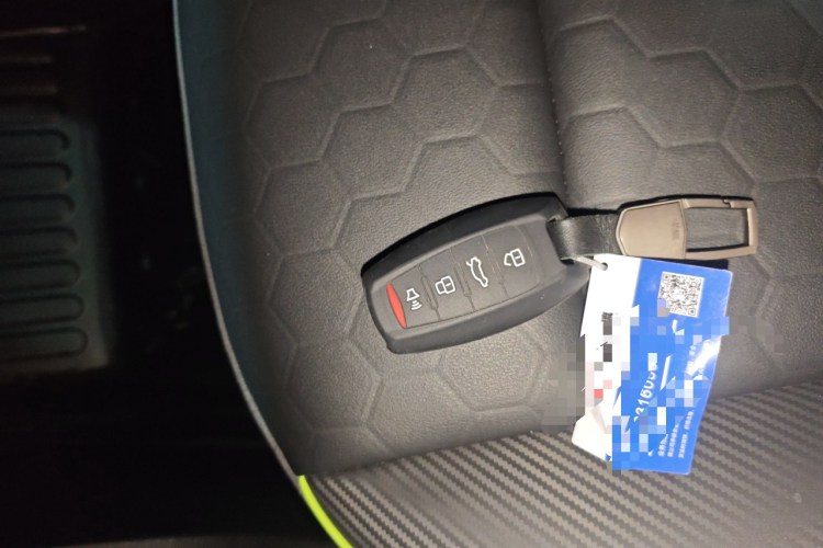 Haval H6S 2022 immagine di auto #11