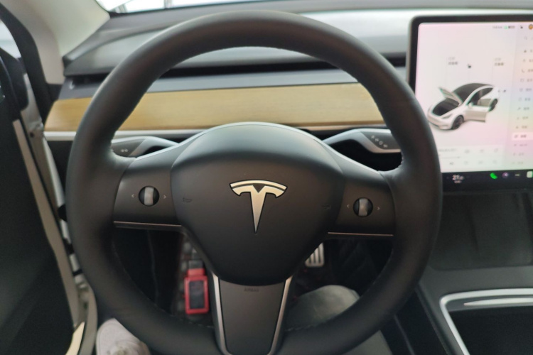 Tesla Model Y 2021 car image #11