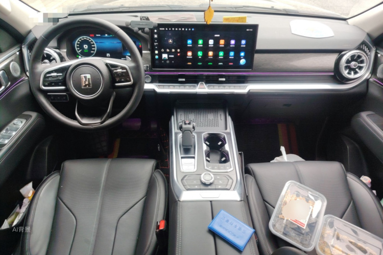 Tank 400 New Energy 2024 car image #11