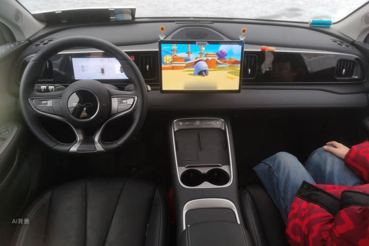 BYD Sea Lion 05 EV 2025 car image #11