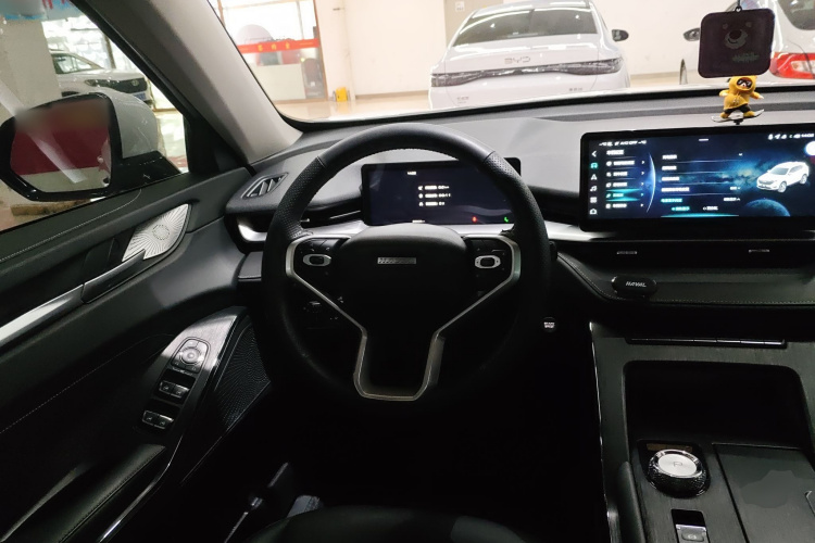 Haval H6 2022 car image #11