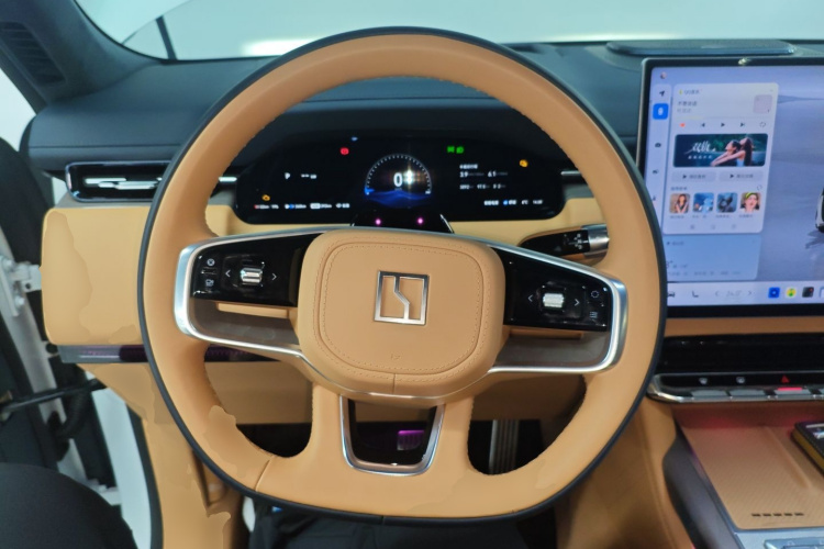 极氪 极氪9X 2025 汽车图片 #11