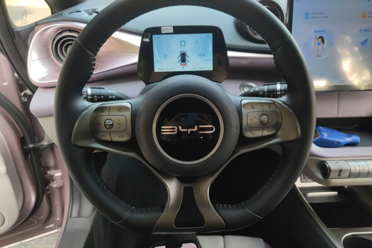 BYD Dolphin 2023 car image #11