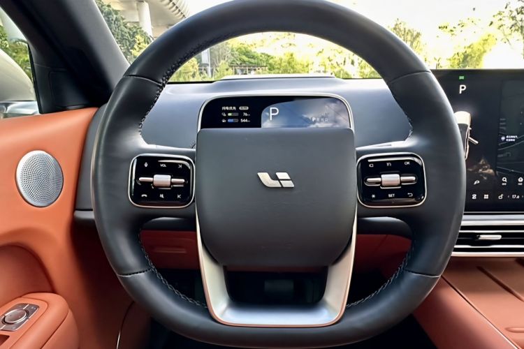 Li L9 2022 imagem de carro #11