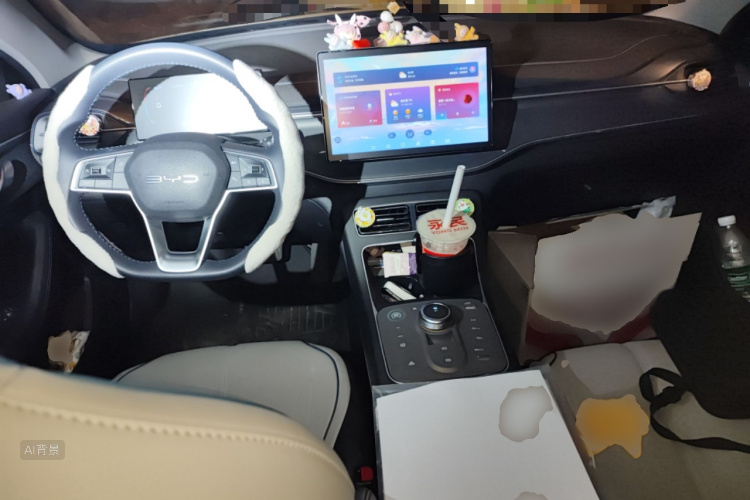 BYD Destroyer 05 2024 car image #11