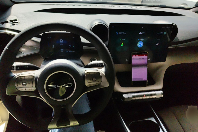 BYD Dolphin 2023 car image #11
