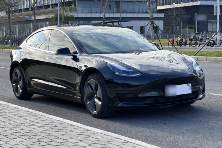 Tesla Model 3 2020 car image #11