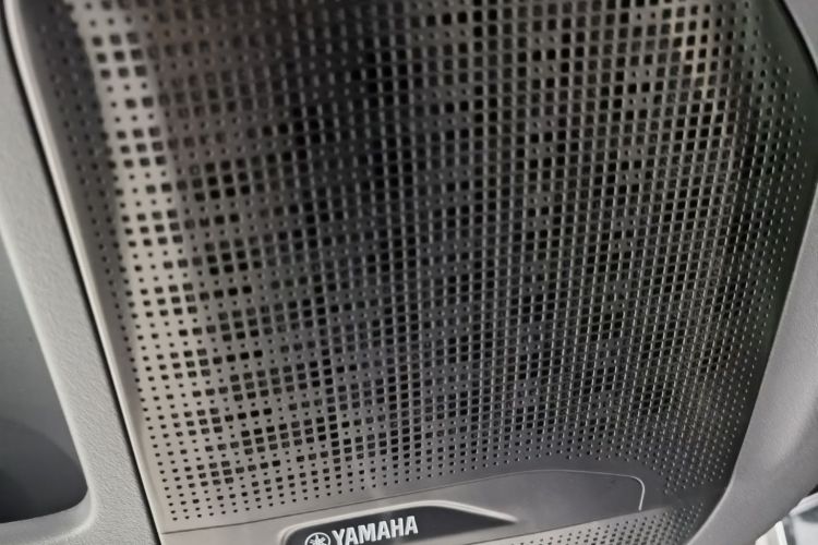 极氪 极氪009 汽车图片 #11