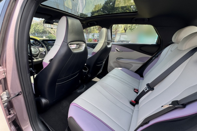 BYD Dolphin 2023 car image #11