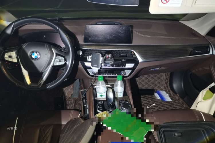 BMW 5 Series New Energy 2020 car image #11