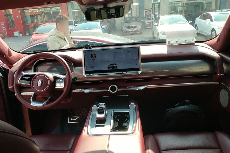 Tank 700 New Energy 2024 car image #11