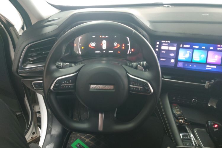 Haval F7x 2021 #11 Haval F7x 2021 car image #11