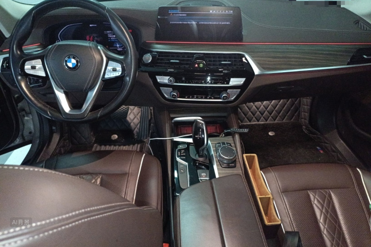 BMW 5 Series New Energy 2020 car image #11