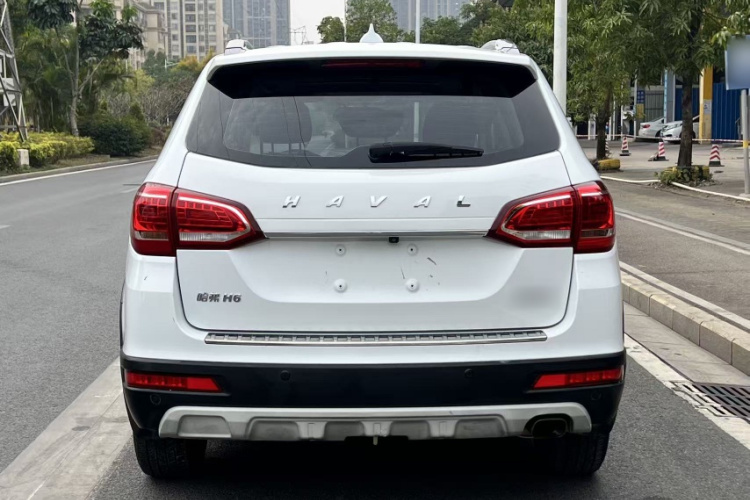 Haval H6 2019 car image #11