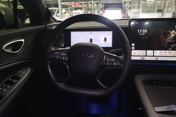 BYD Sea Lion 06 New Energy 2025 car image #11