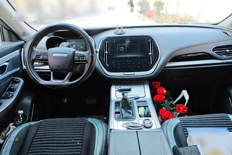 Jetour X70 2020 immagine di auto #11