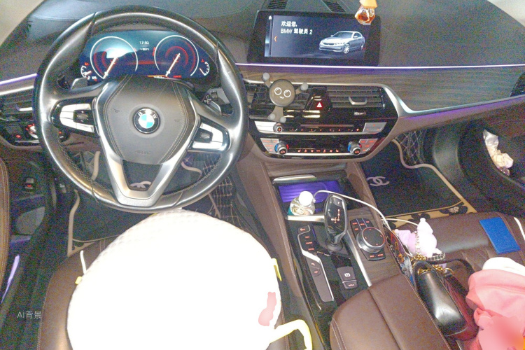 BMW 5 Series 2019 immagine di auto #11
