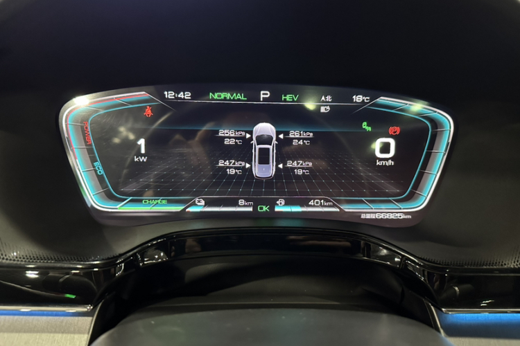 BYD Tang New Energy 2022 car image #11