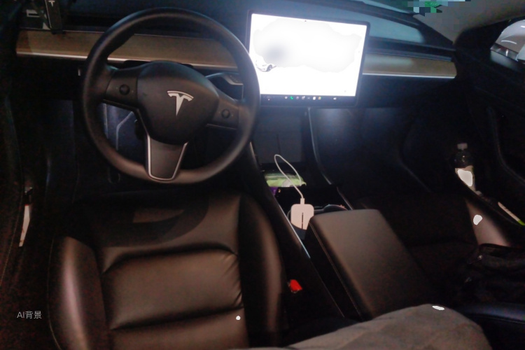 Tesla Model 3 2021 #11 Tesla Model 3 2021 car image #11