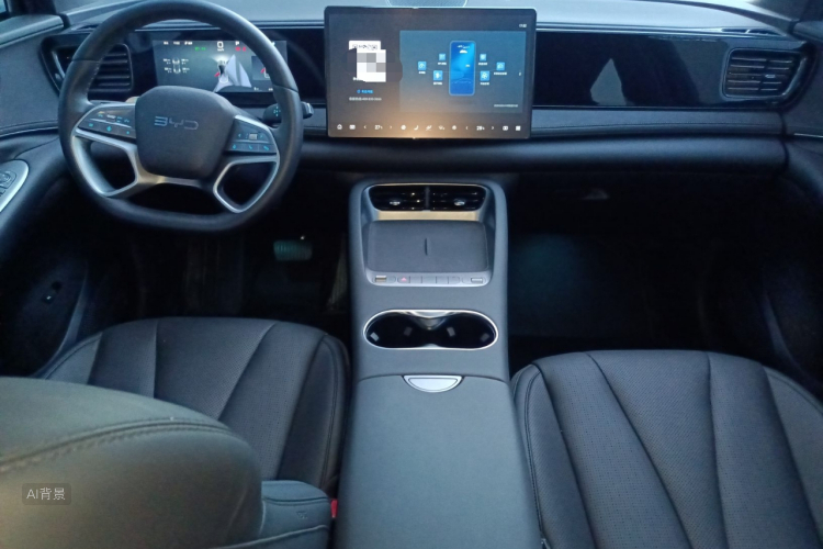 BYD Sea Lion 06 New Energy 2025 car image #11