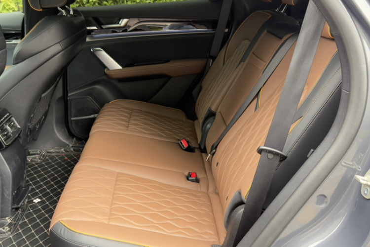 BYD Tang New Energy 2022 car image #11