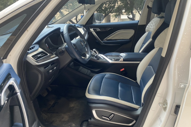 睿蓝汽车 枫叶80v PRO 2023 汽车图片 #11