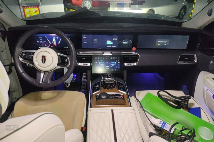 HongQi E-HS9 2022 car image #11