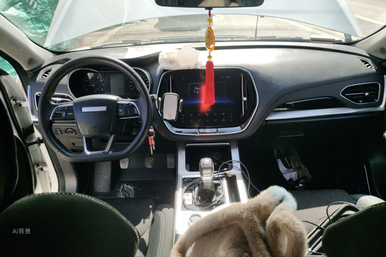 Jetour X70 2021 car image #11