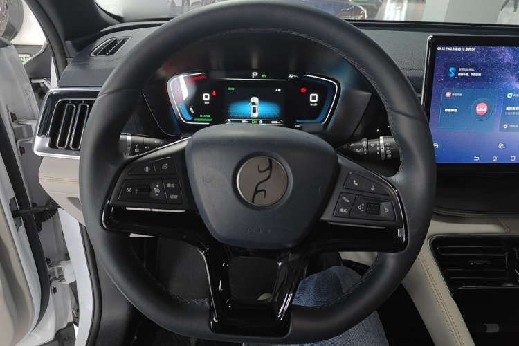 BYD Song Plus New Energy 2022 car image #11