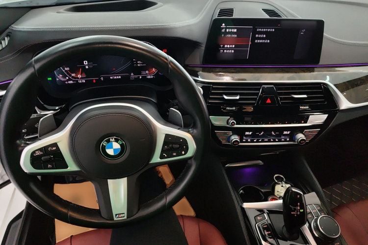 BMW 5 Series 2020 car image #11