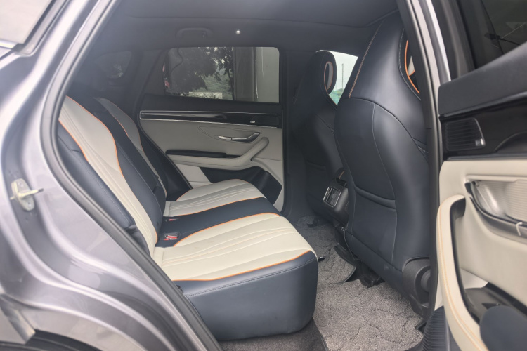 BYD Song Plus New Energy 2022 car image #11