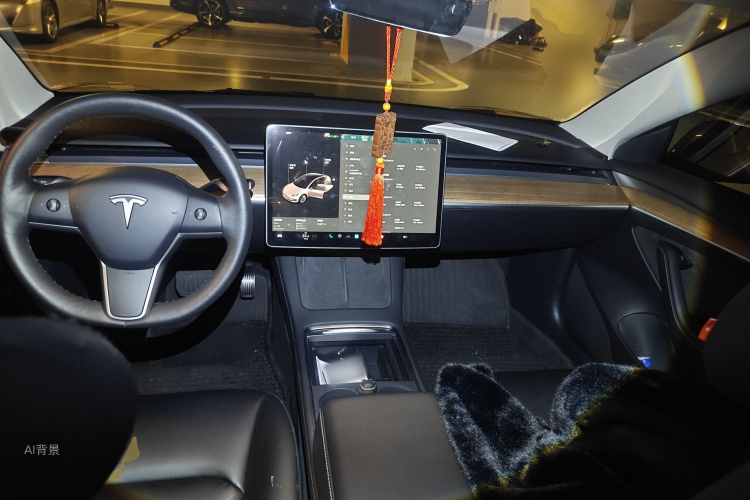 特斯拉 Model 3 2022 汽车图片 #11