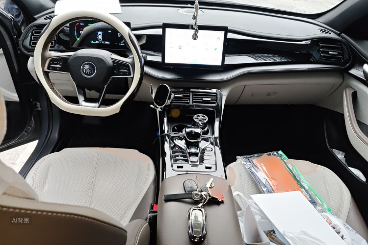 BYD Qin Plus 2024 صورة سيارة #11