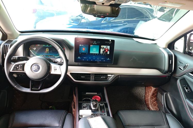 BYD Tang New Energy 2019 car image #11