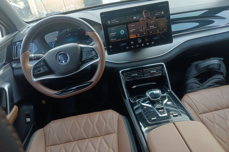 BYD Tang New Energy 2022 car image #11