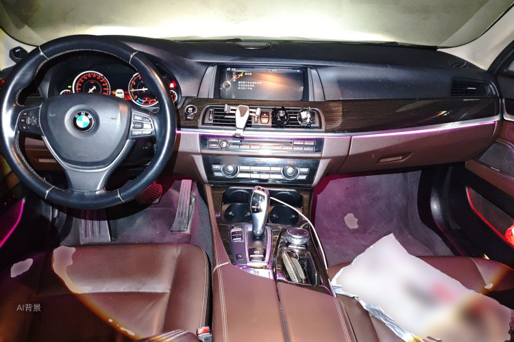 BMW 5 Series 2015 car image #11