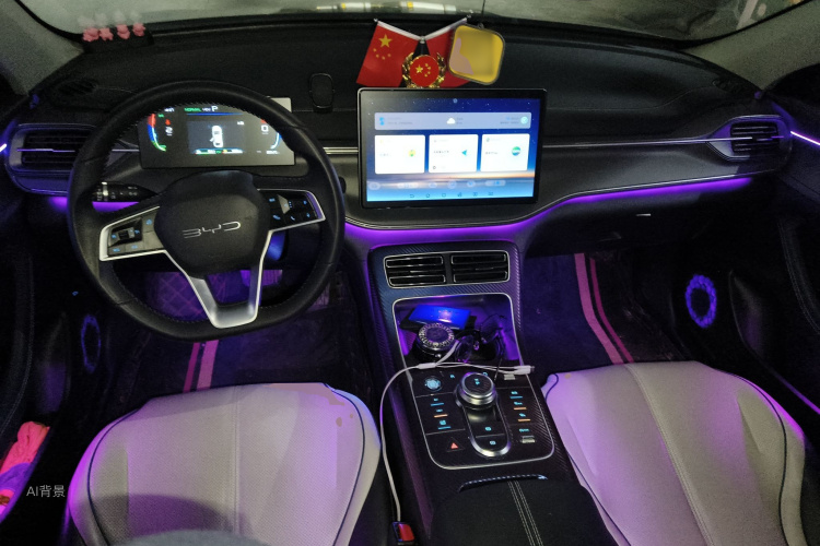 BYD Destroyer 05 2023 car image #11