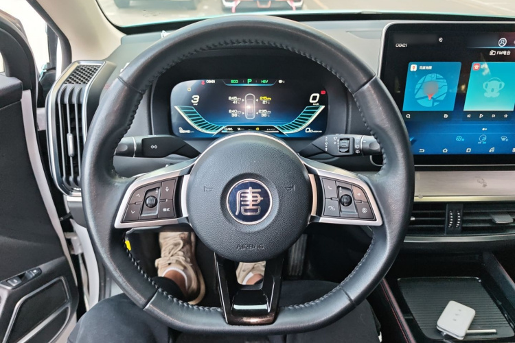 BYD Tang New Energy 2019 car image #11