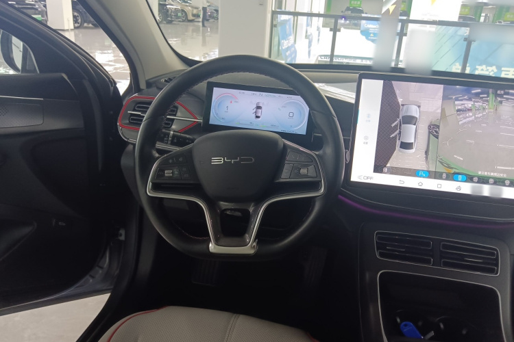 BYD Destroyer 05 2022 imagen de coche #11