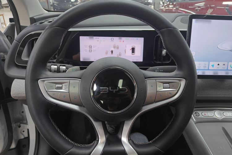 BYD Sea Lion 05 EV 2025 car image #11