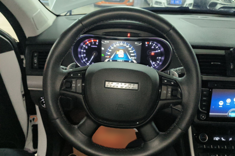 Haval H8 2019 imagen de coche #11