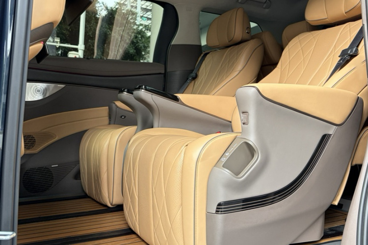 Denza D9 2023 imagen de coche #11